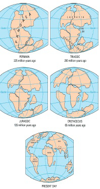 evolution of the planet